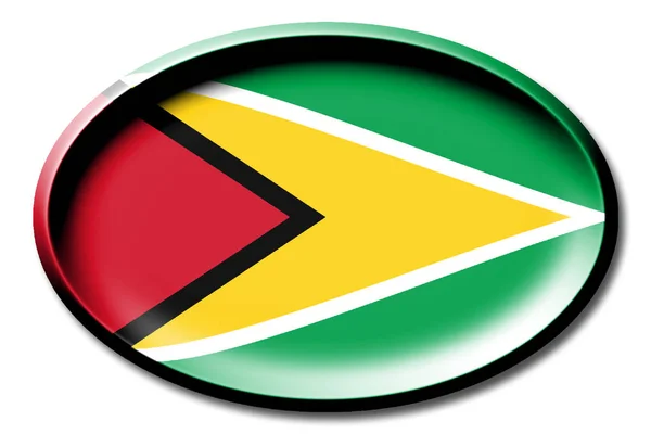 Vlag Van Guyana Ronde Witte Achtergrond — Stockfoto