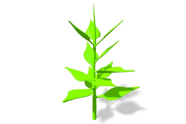 Ecology Environment Illustration Green Plant — Stock Photo, Image