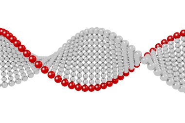 3D çizim - Dna zinciri / sarmal