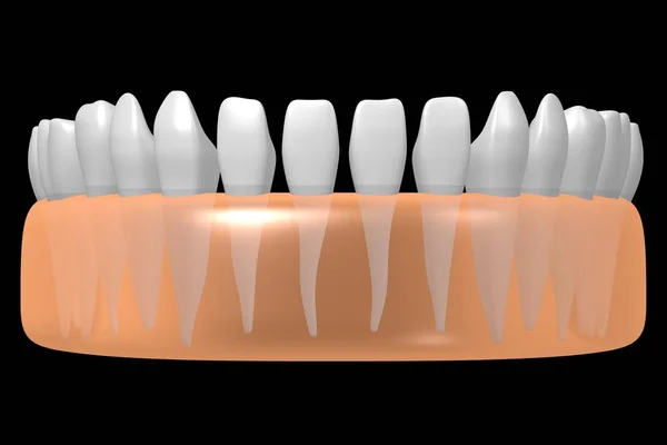 Dentes Humanos Saudáveis Ilustração — Fotografia de Stock