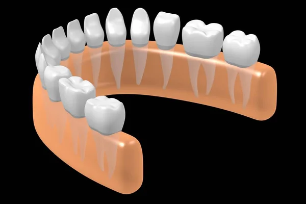 Dentes Humanos Saudáveis Ilustração — Fotografia de Stock