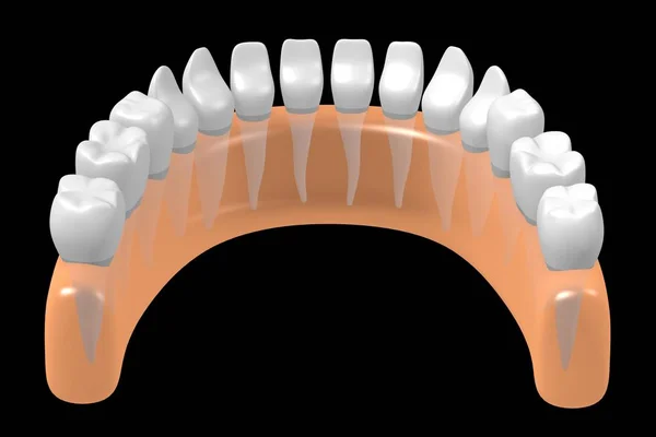 Dentes Humanos Saudáveis Ilustração — Fotografia de Stock