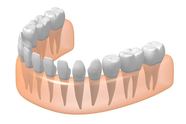 Dentes Saudáveis Ilustração — Fotografia de Stock