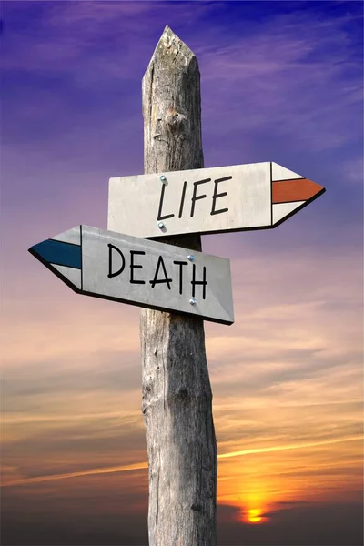 Señalización Vida Muerte —  Fotos de Stock
