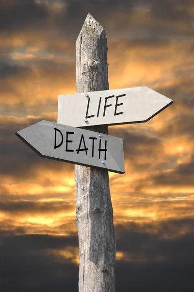 Señalización Vida Muerte —  Fotos de Stock
