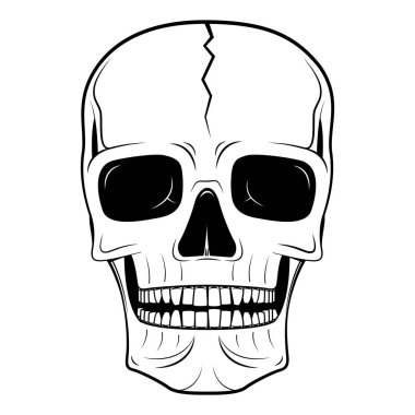 Kafatası illüstrasyon - illüstrasyon, beyaz arka plan.