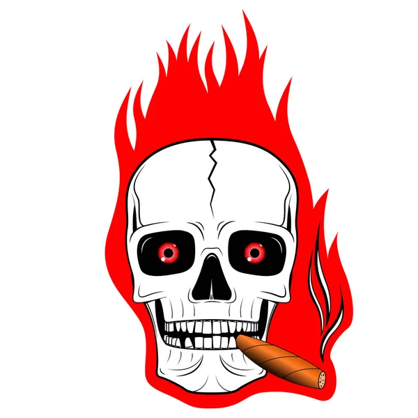 Skull illustration - flames - illustration, white background.