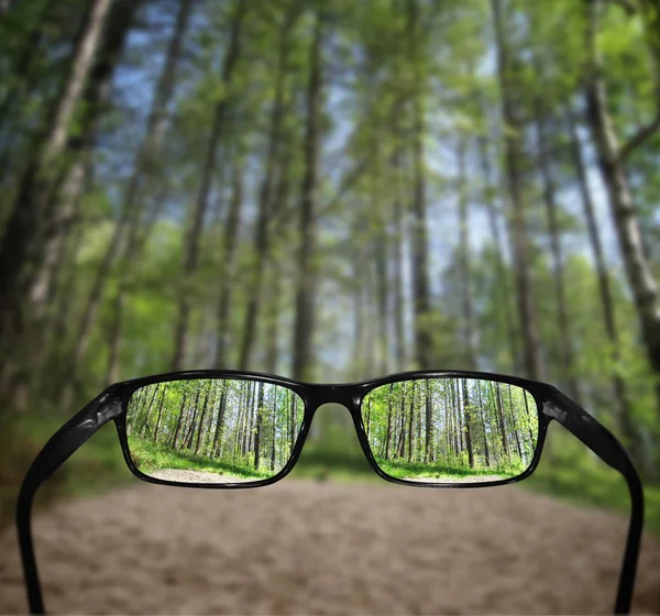 Glasögon Vision Koncept Skog — Stockfoto
