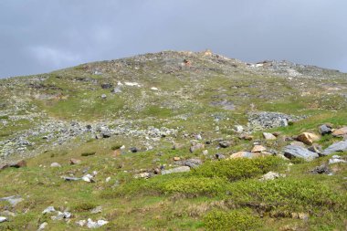 Avusturya - dağ tepe Alps