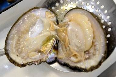 İnci - açık inci kabuğu