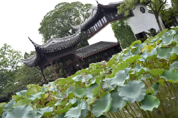 Chinese Tuin Pagode Achtergrond — Stockfoto