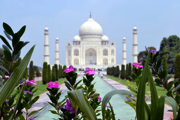 Taj Mahal Agra Índia Jardim — Fotografia de Stock