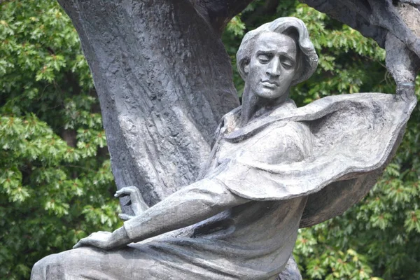 Frederic Chopin Monument Warsaw Poland — Stock Photo, Image