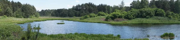 Lake Forest Panorama — Stok fotoğraf