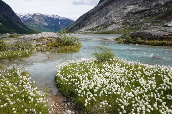 Montanhas Noruega Europa — Fotografia de Stock