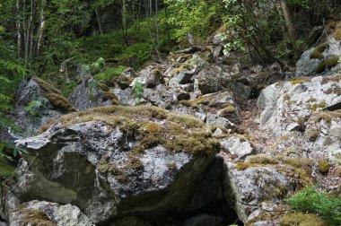 Jotunheimen Park, Norveç, Europe