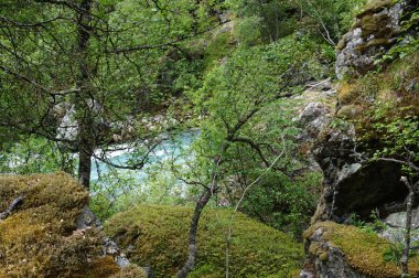 Jotunheimen Park, Norveç, Europe