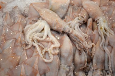 Deniz ürünleri - bir Pazar üzerinde ham calmars