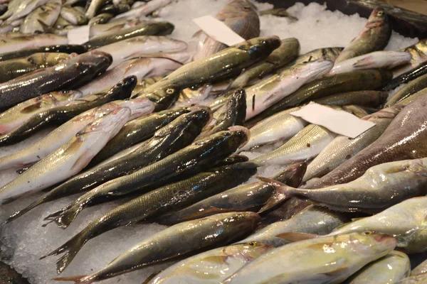 Pesca Cruda Mercado — Foto de Stock