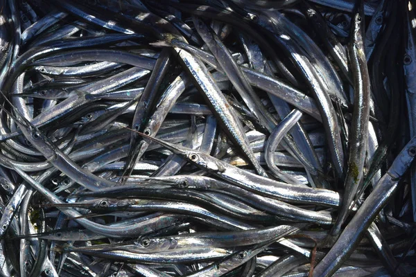 Pesca Cruda Mercado — Foto de Stock