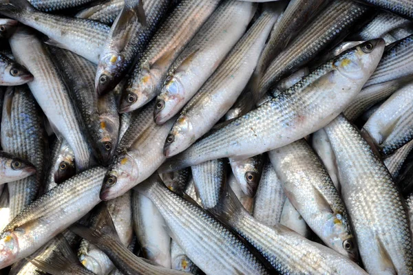 Pesca Cruda Mercado — Foto de Stock