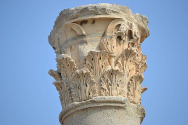 Tunus, Kartagina; Tunus, Afrika