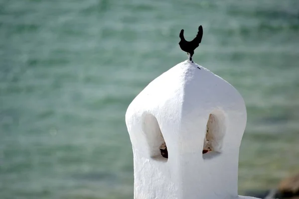 Mešita Oceán Tunisko Afrika — Stock fotografie