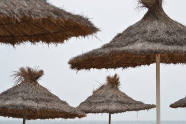 Tatil seyahat gibi konular için vb şemsiye - büyük plaj