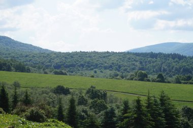 Bieszczady Dağlar Polonya