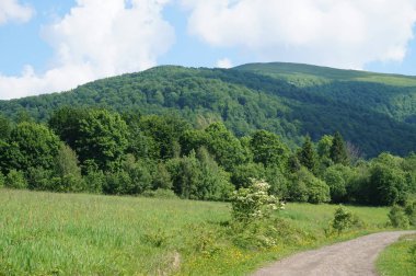Bieszczady Dağlar Polonya