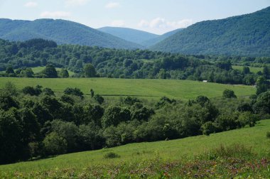 Bieszczady Dağlar Polonya