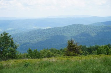 Bieszczady Dağlar Polonya