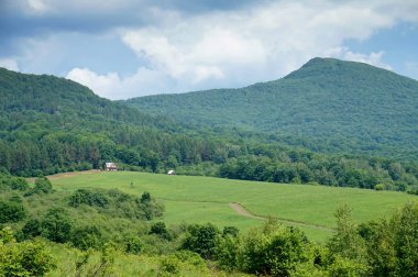 Bieszczady Dağlar Polonya