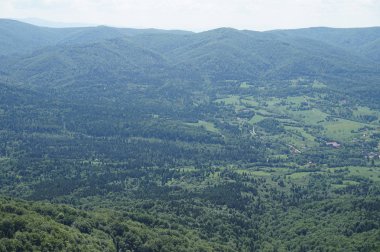 Bieszczady Dağlar Polonya