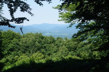 Bieszczady Dağlar Polonya