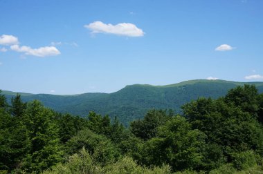 Bieszczady Dağlar Polonya
