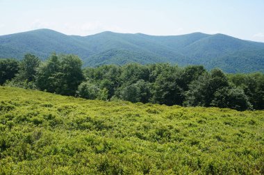Bieszczady Dağlar Polonya