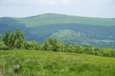 Bieszczady Dağlar Polonya
