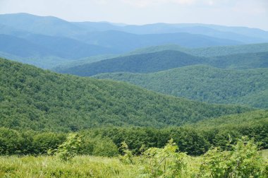 Bieszczady Dağlar Polonya