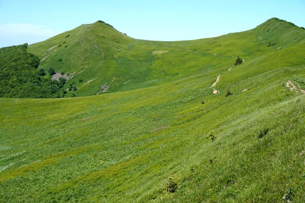 波兰的 bieszczady/poloniny 山 — 图库照片