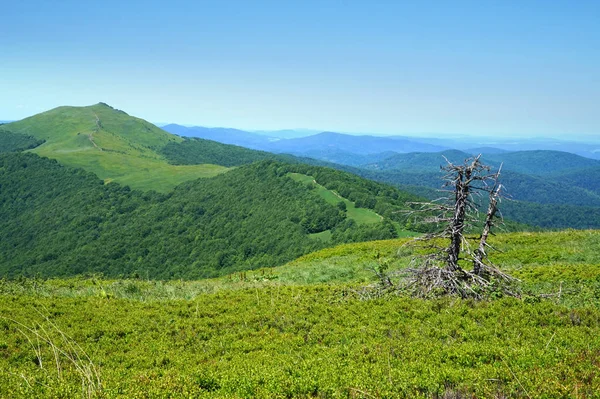 在波兰的 Bieszczady 山 — 图库照片