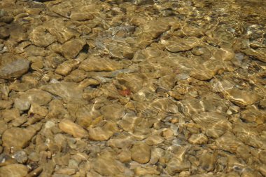 Temiz dağ nehir - taş