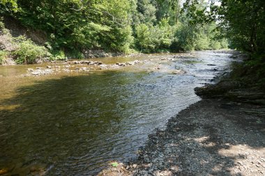 Dağ nehir temiz / akış