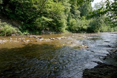 Dağ nehir temiz / akış