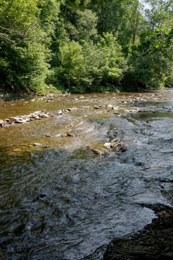 Dağ nehir temiz / akış