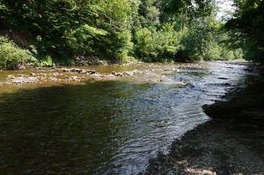Dağ nehir temiz / akış