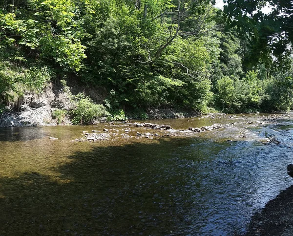 Clean mountain river/ stream — Stock Photo, Image