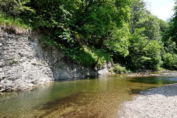 Чиста гірська річка/ струмок — стокове фото