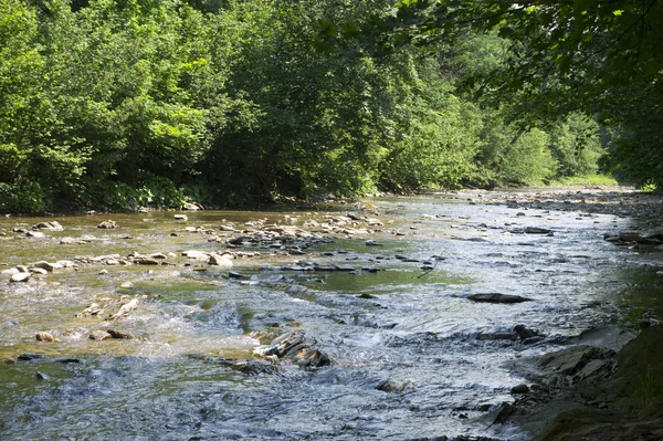 Rengöra mountain river / strömma — Stockfoto