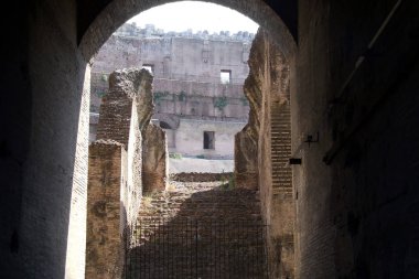 Kolezyum, Roma, İtalya